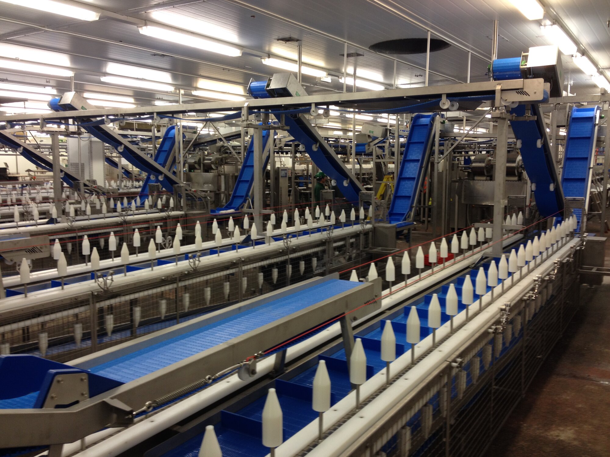 design manufacture and installation of conveyors wrightfield