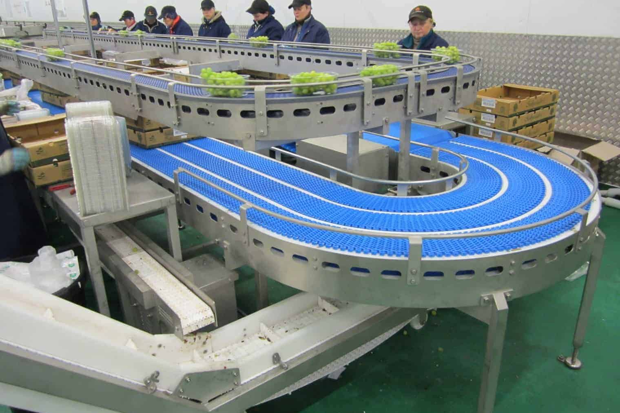 conveyors and conveyor systems from Wrightfield -slat conveyor